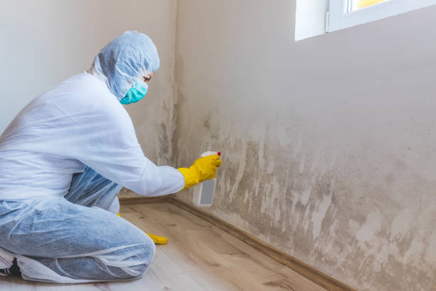 Crawl Space Mold Remediation treatment of floor joists in Gibbsboro