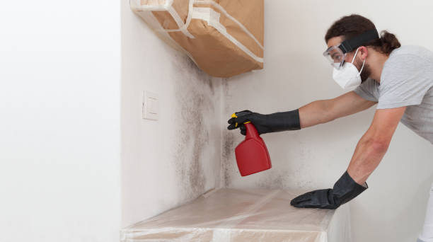 Basement Mold Remediation treatment on basement walls in Gibbsboro